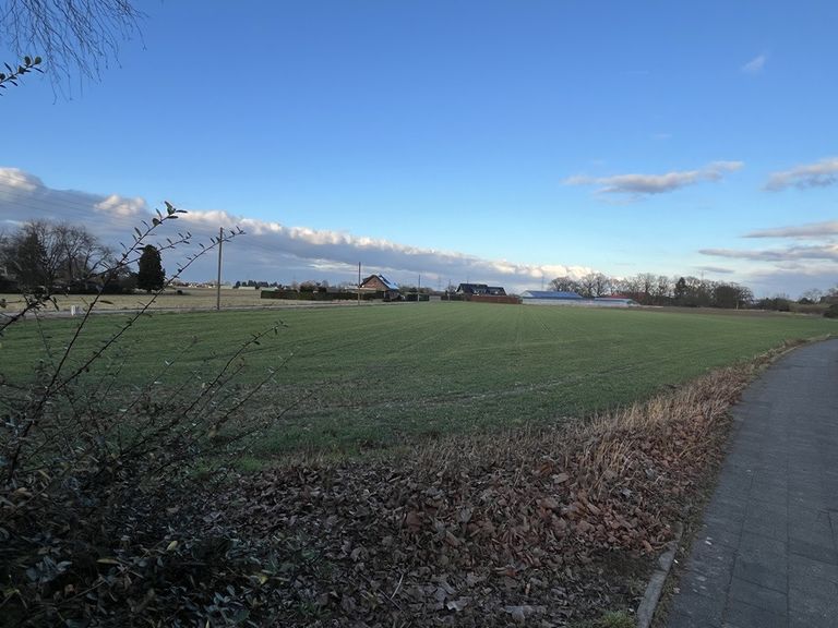 Neubaugebiet Feldstraße / Steinheide