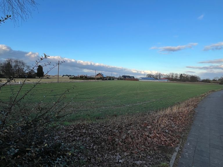 Neubaugebiet Feldstraße / Steinheide