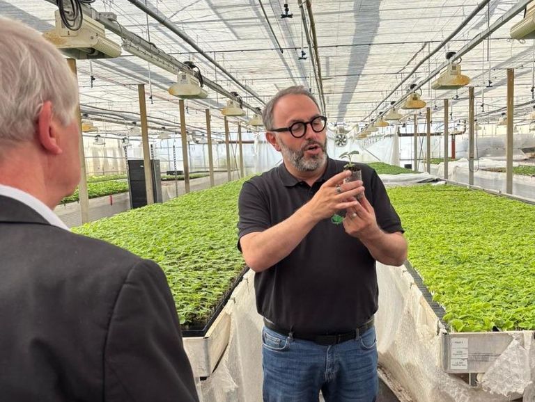 MIT zu Gast bei der WeGrow AG in Tönisvorst
